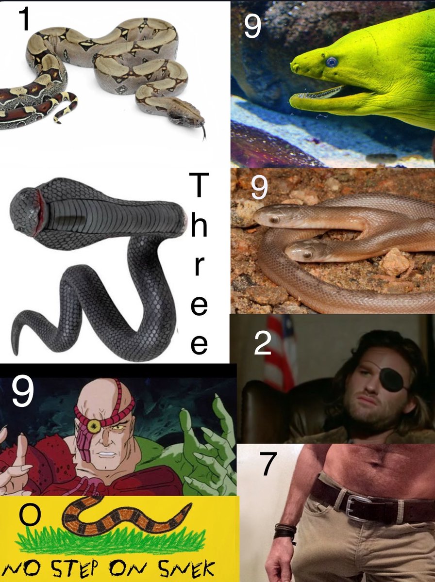 Senator John Connor tweet media