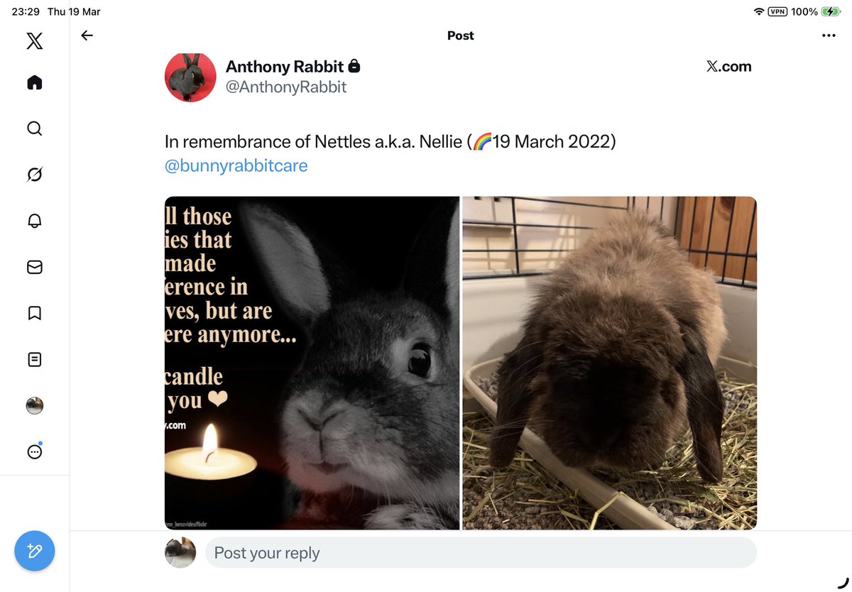 Nettles (Nellie)🌈14/12/2013-19/03/2022 & Hoom Mum tweet media