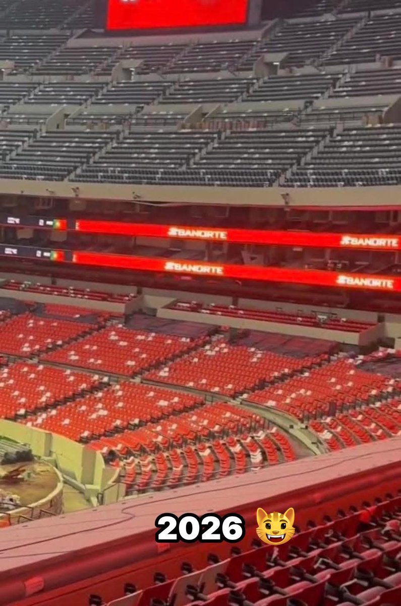 Gato de Tlalpan ®️ 🏆²⁰ tweet media