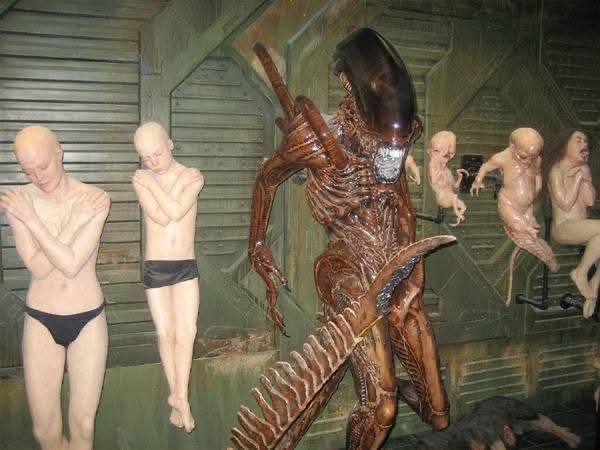 CINEMORPH tweet media