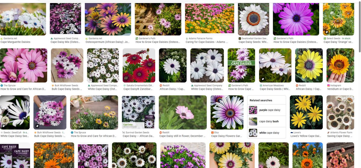 Loupey Gardener tweet media