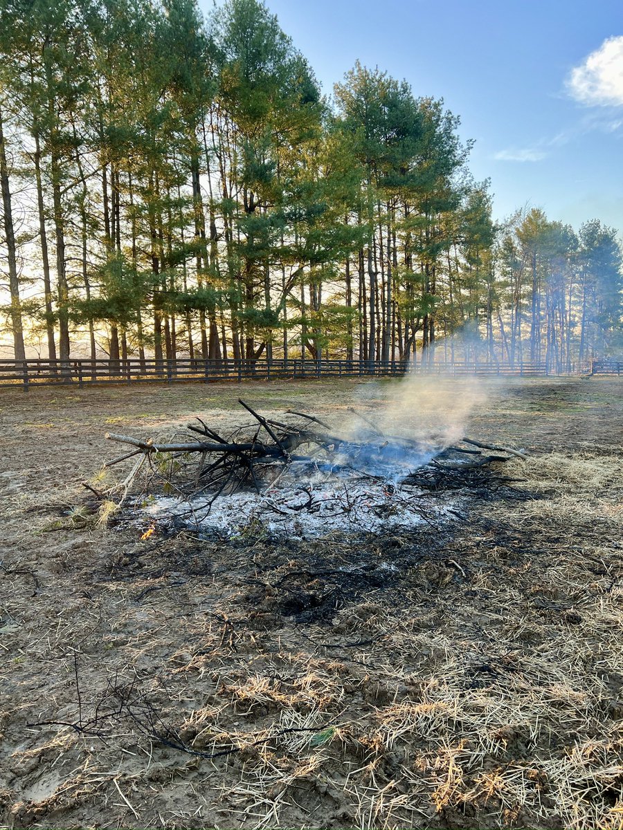 😺😸⚫️🔴🌕 tweet media