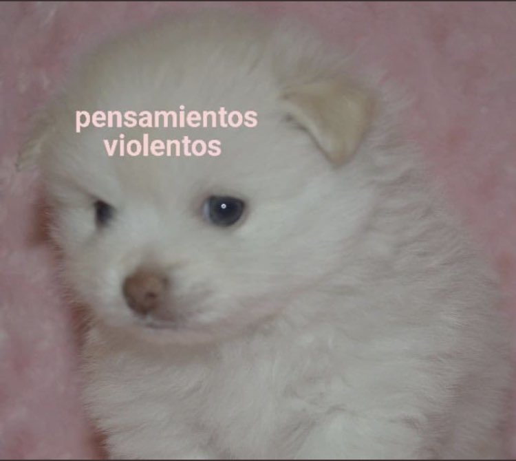 Ekar_y's tweet photo. Me encontré con una niña en la fila del camión (de la edad de mi hijo) y me pidió cambiar su billete; le di la moneda y le pregunté si venía solita. Me respondió que sí. Traía uniforme de colegio de paga. ¿Por? Si hay para colegiatura, también para el transporte escolar ¿no? https://t.co/vZ3rngJgVJ