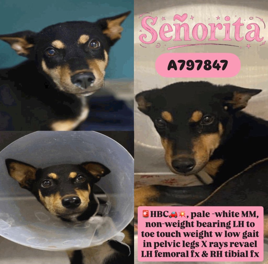 Aurora ⸆⸉ misses Liam ❯❯❯❯ tweet media