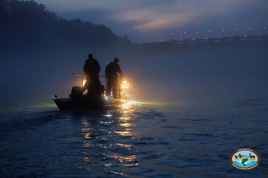 Arkansas Game and Fish Commission tweet media