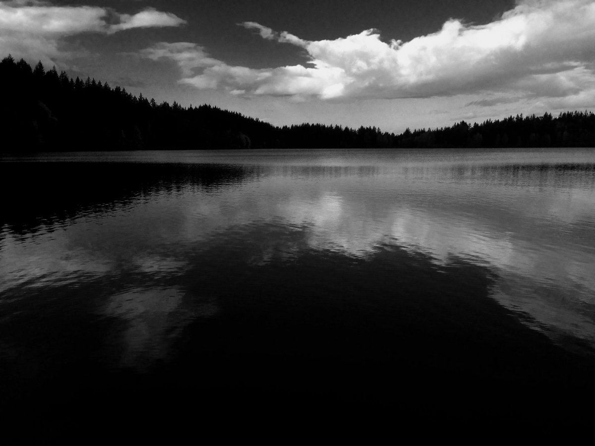 Middleton Whittaker tweet media