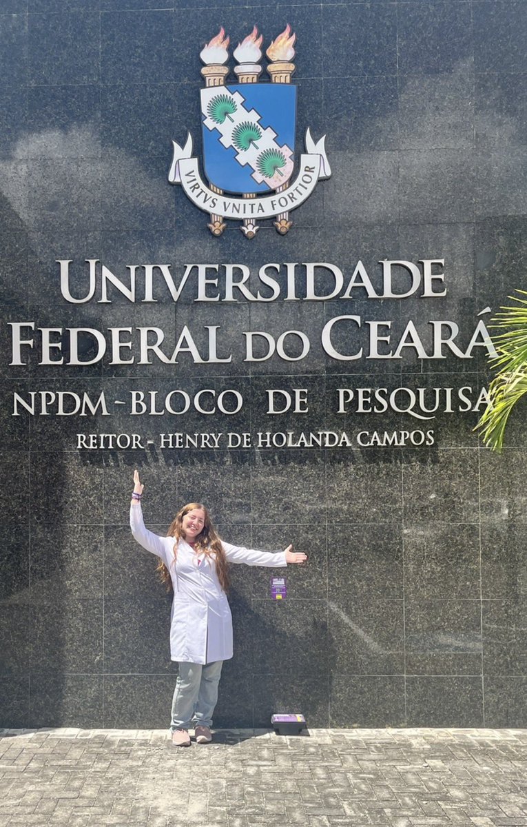 beta (β) ♡ tweet media