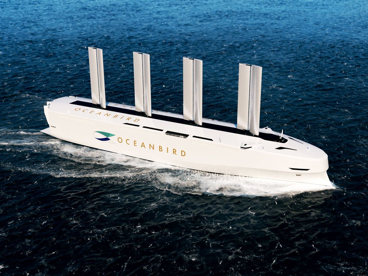 John Halo tweet media