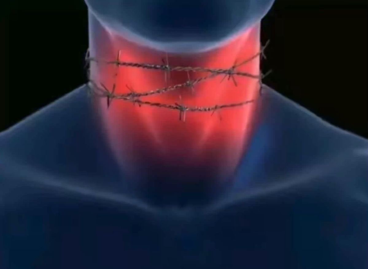 zāād al-Ma’aād tweet media