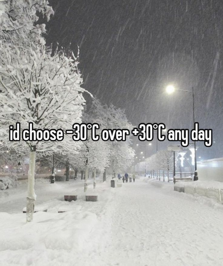 Mountain Cabins tweet media