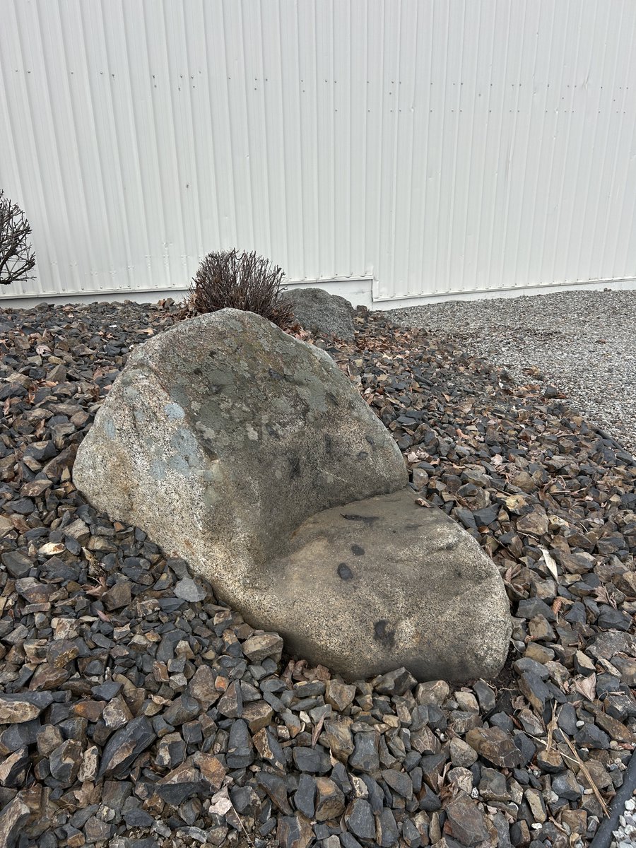 Stacy 😎 tweet media