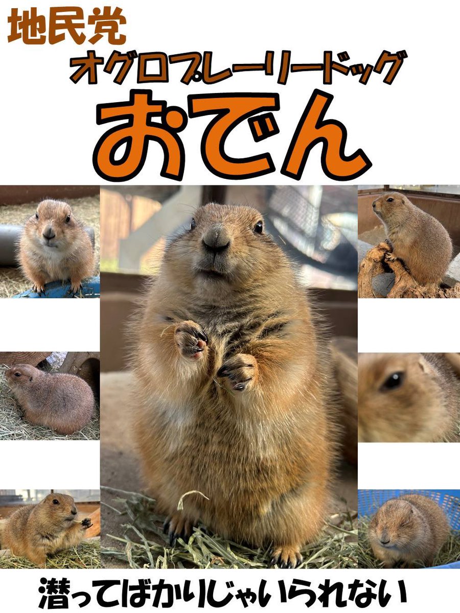 須坂市動物園【公式】 tweet media