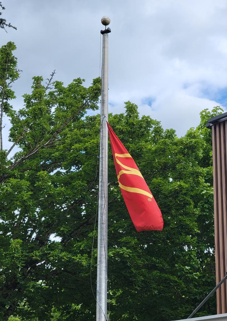 mark franklin rossow tweet media