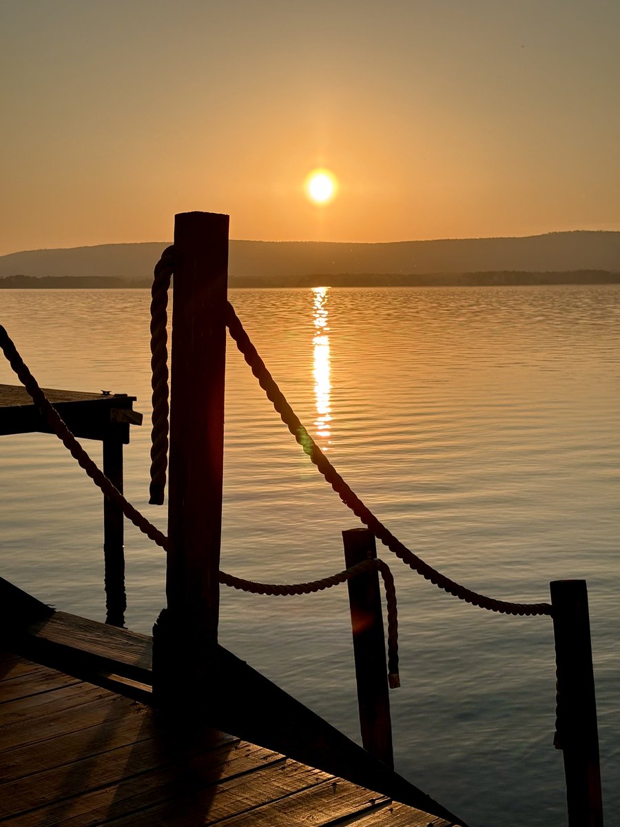 Teresa Sauls 🥋 tweet media