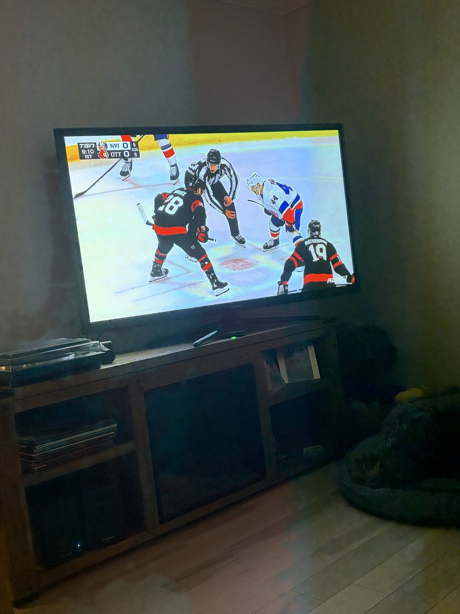 SpottedDuQuebs⚜️ tweet media