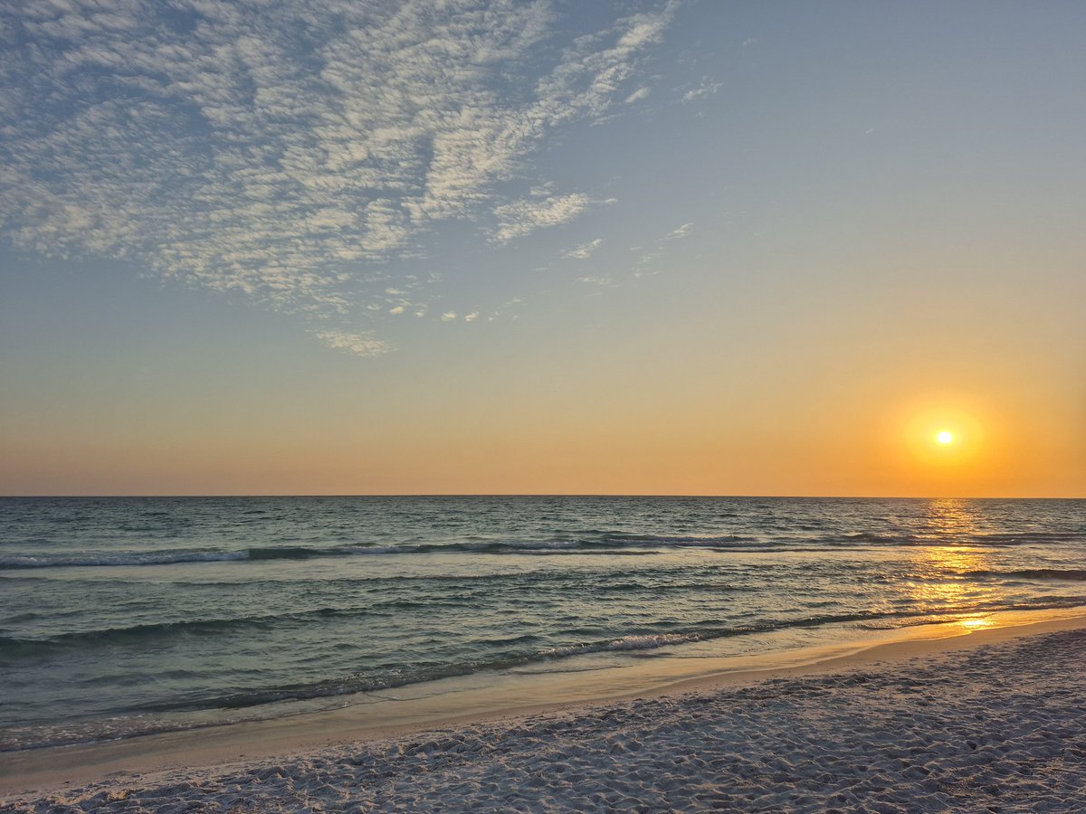 Dune Brother tweet media