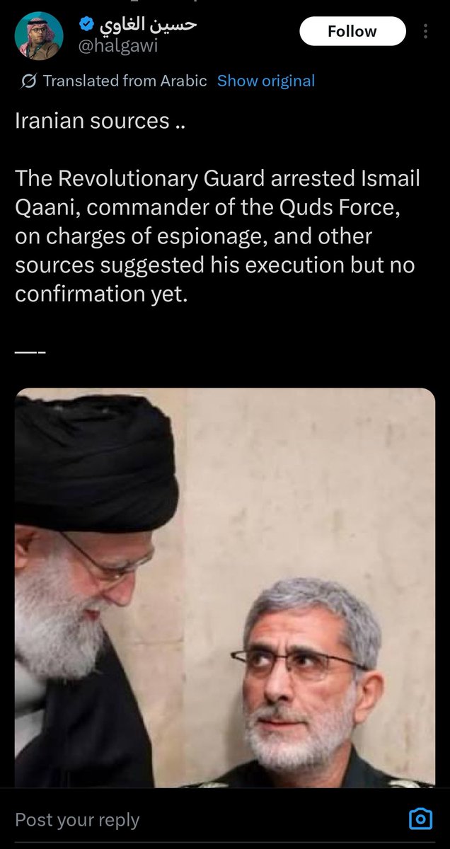 The Search tweet media