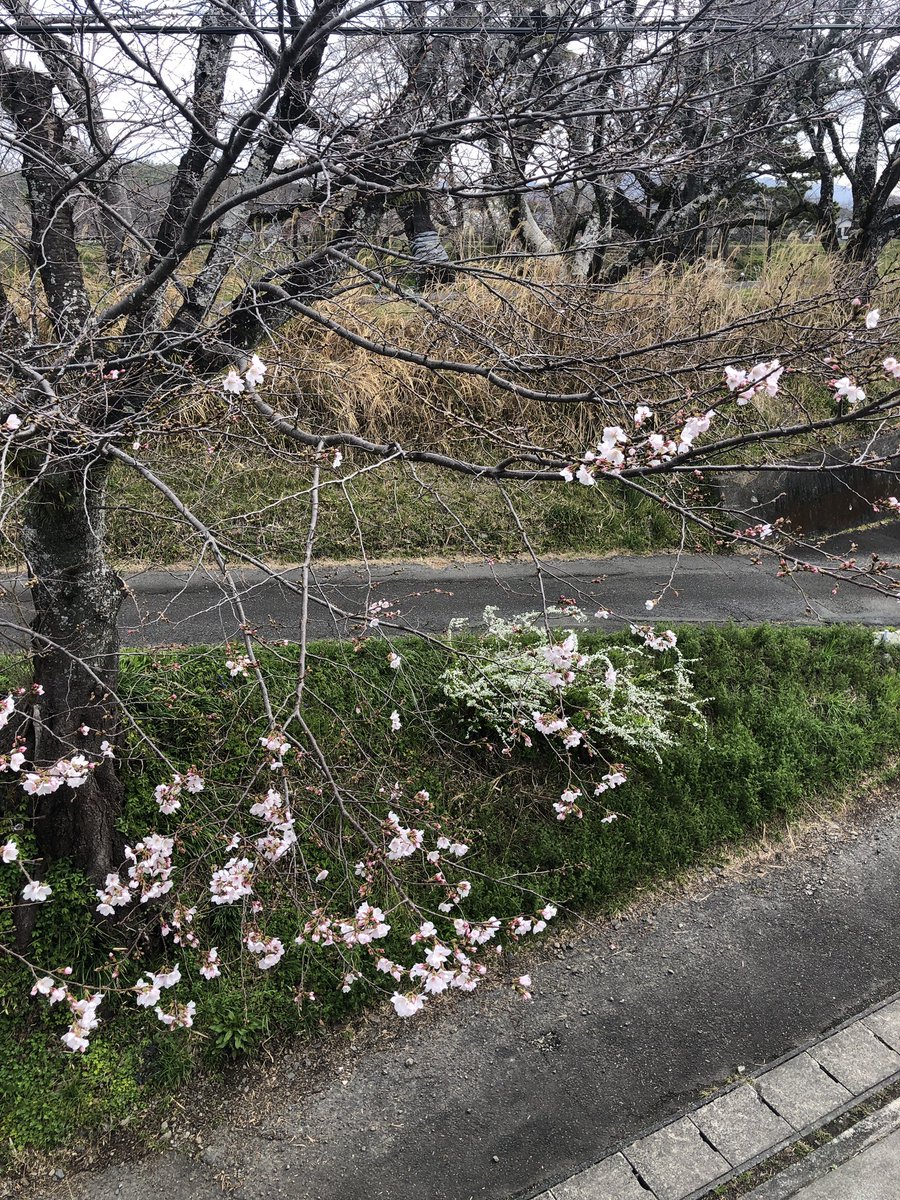 ちっきん tweet media