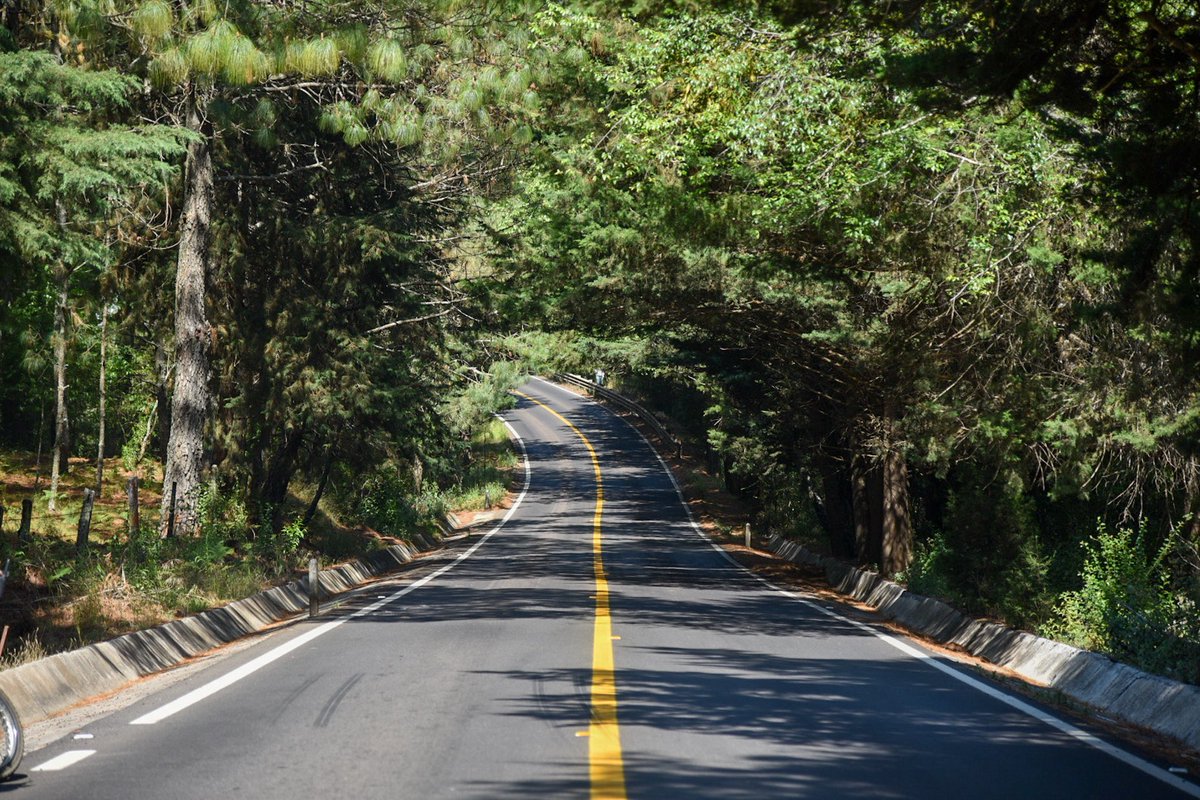 SCOP MICH tweet media