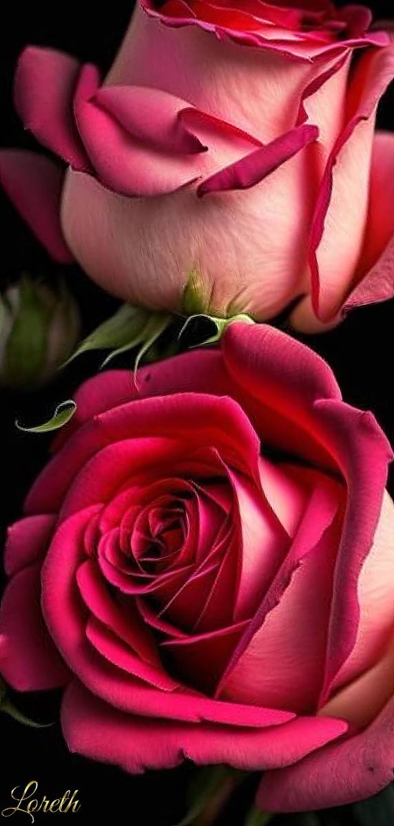 SilvaFlory's tweet image. 