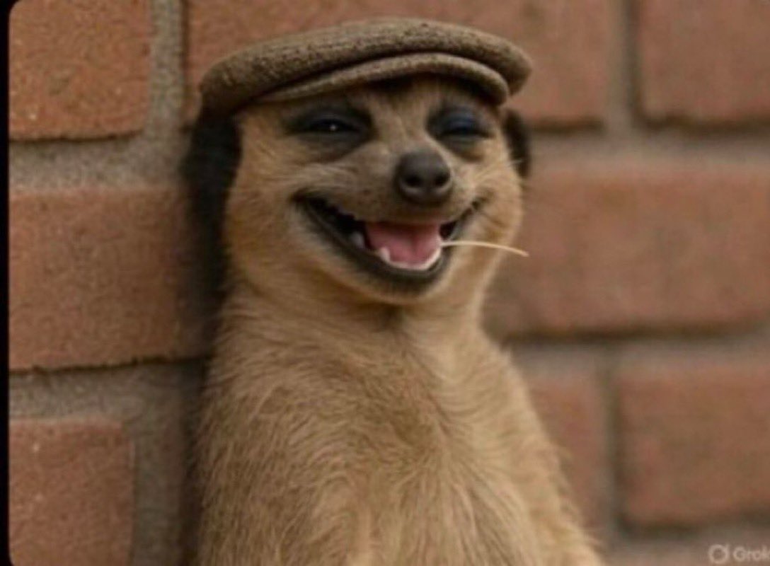 Smart 6ix9ine tweet media