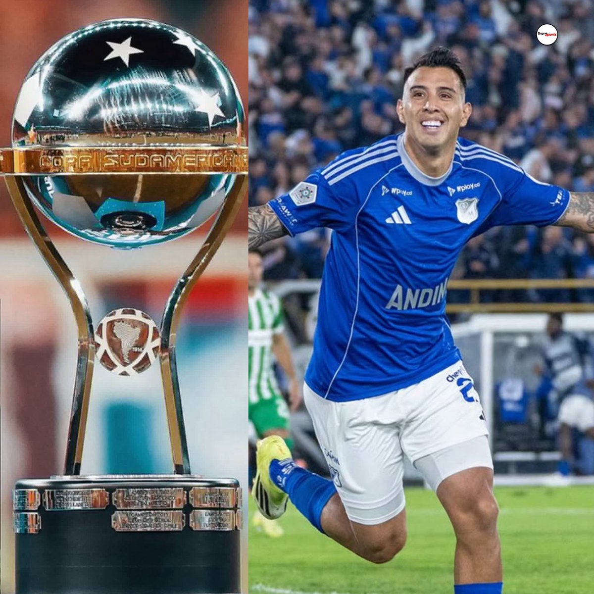 Toque Sports tweet media