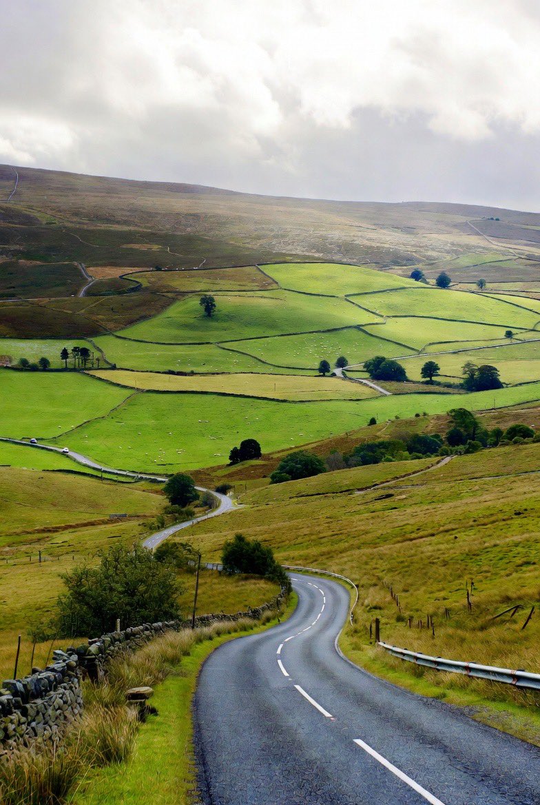 ArmyBrat68 tweet media