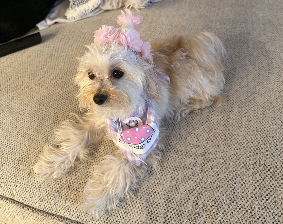 Dave ₿ 🌴 tweet media