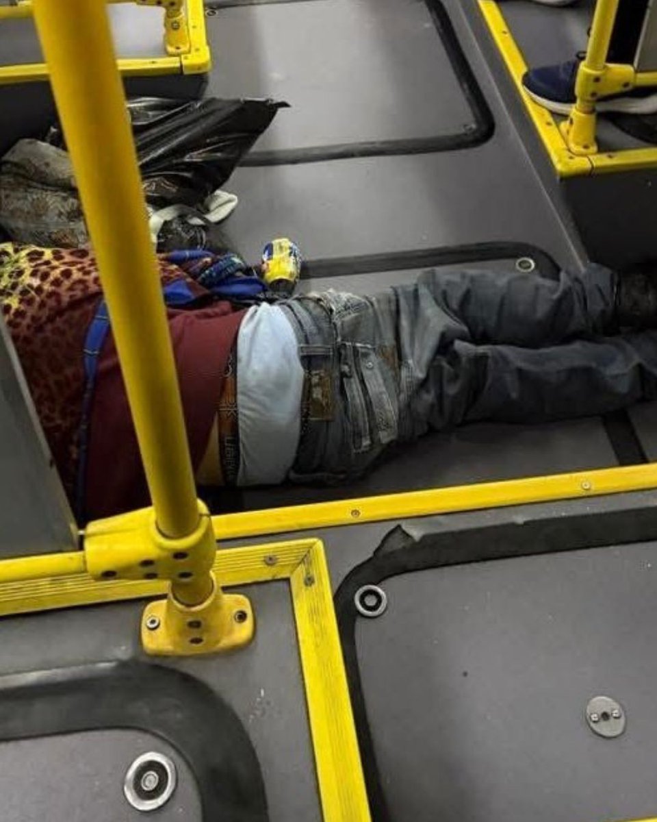 El ⭕lfato tweet media