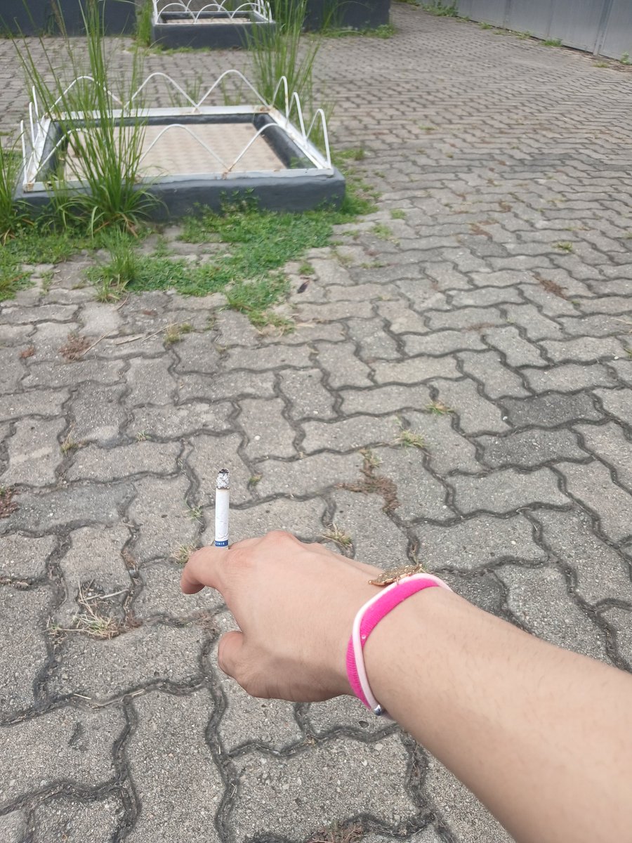 ガブリエル tweet media