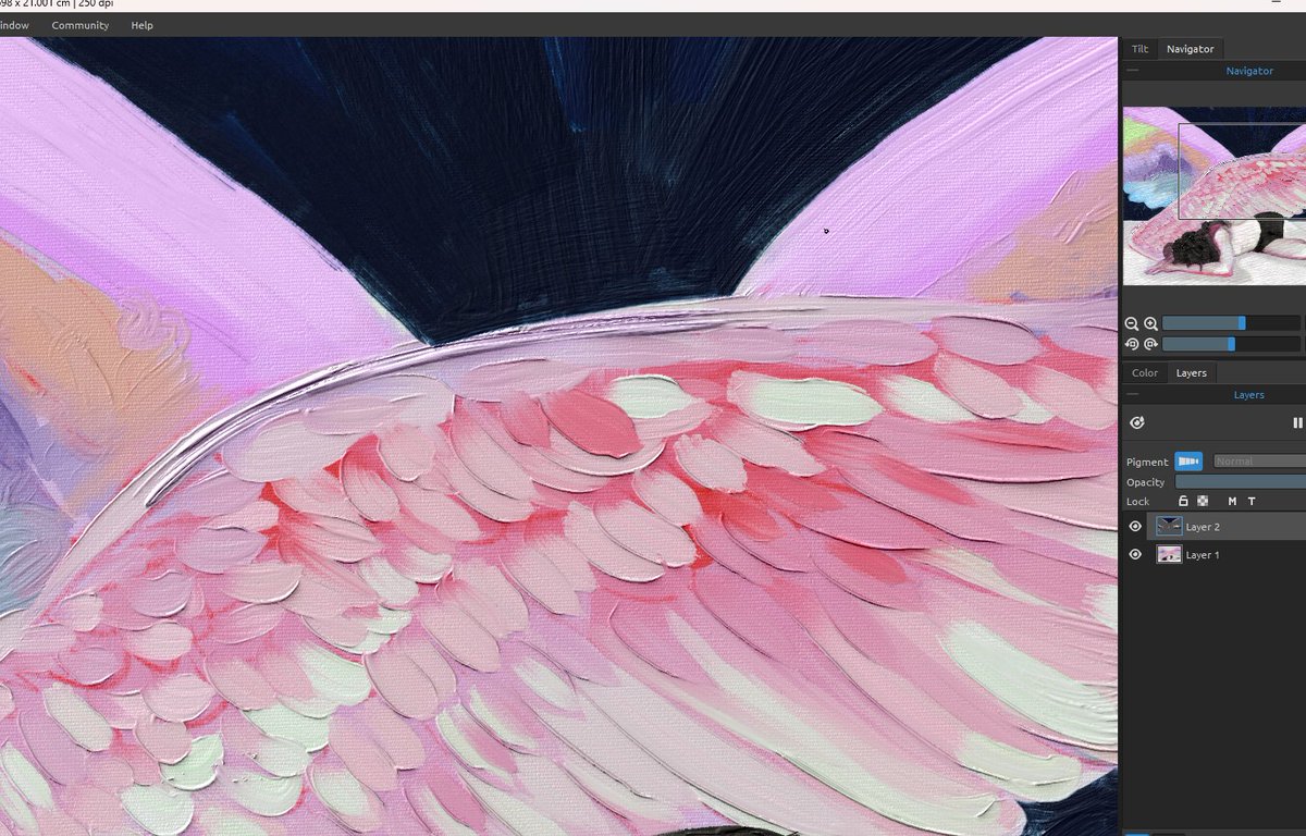 cechk ✾ tweet media