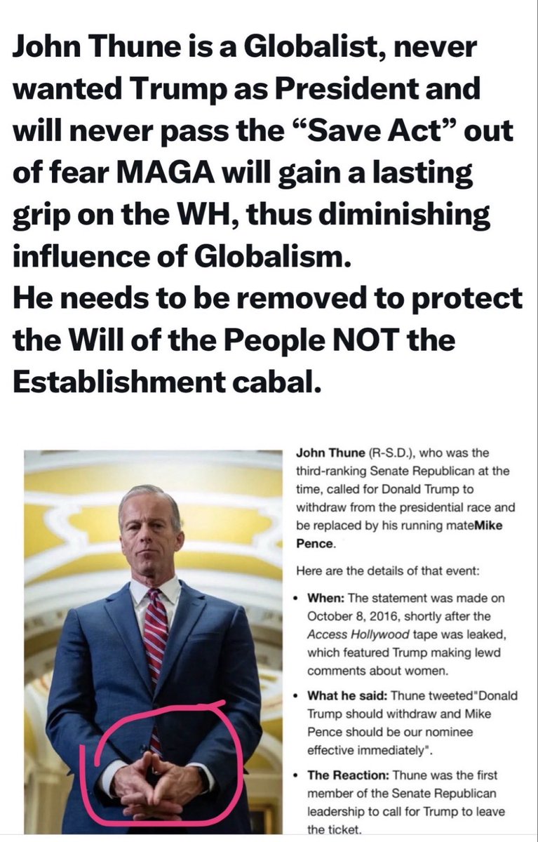 Maggie Basil tweet media