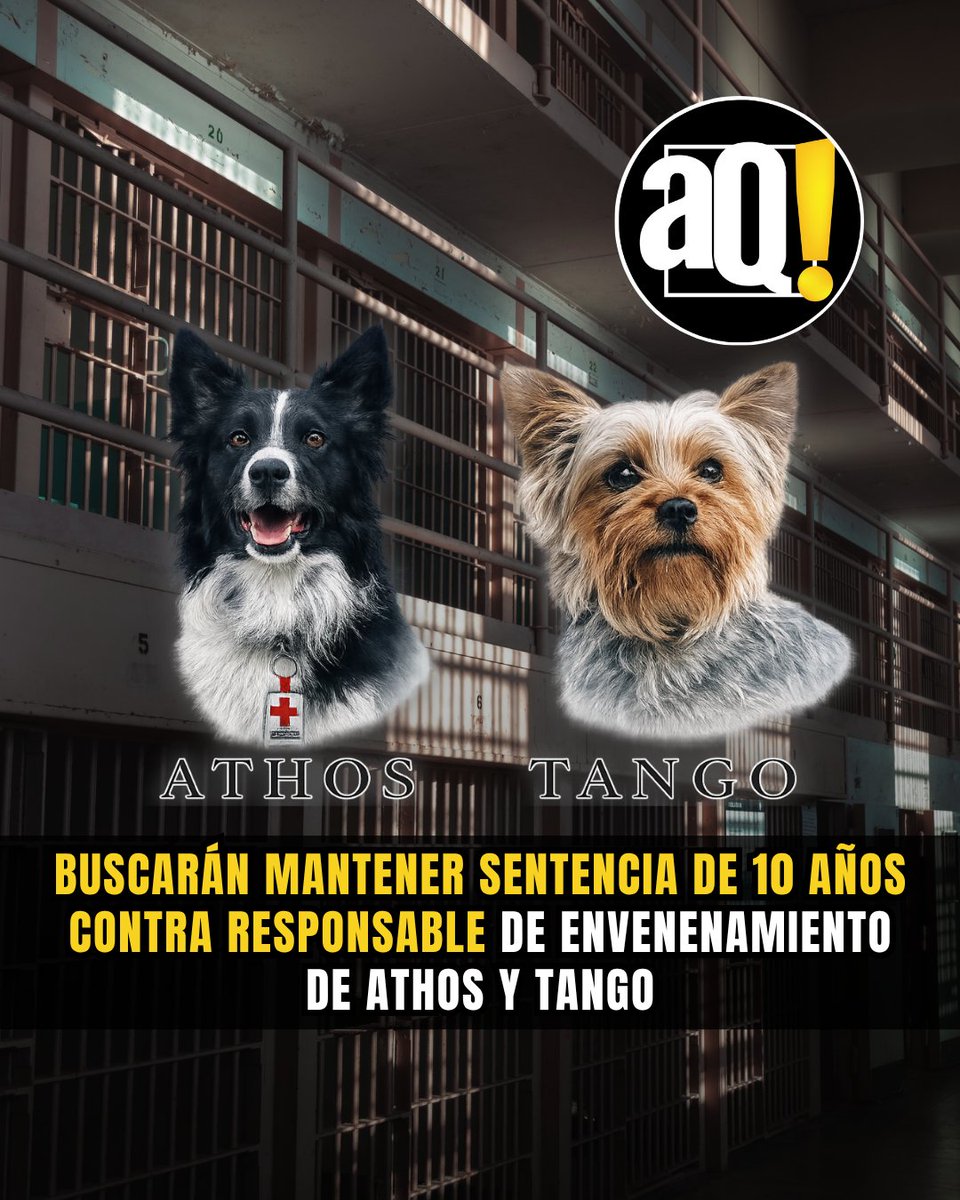 AlertaQro Noticias tweet media