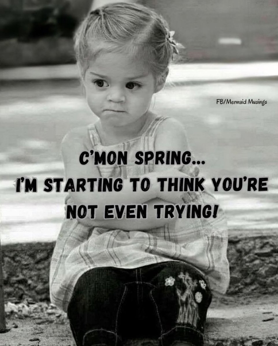 Kelly🇺🇸❤️🏈🐘 tweet media