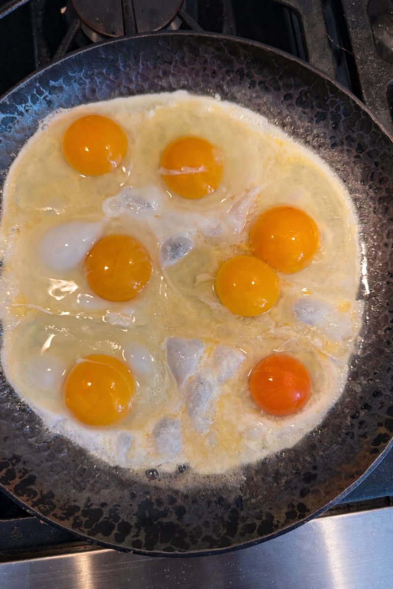 Greg Cello tweet media