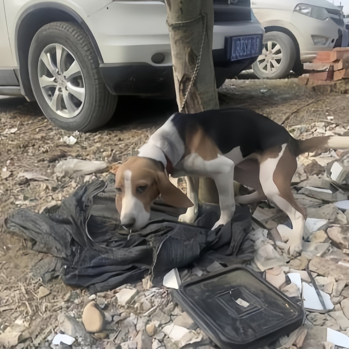 Daniela Vergara tweet media