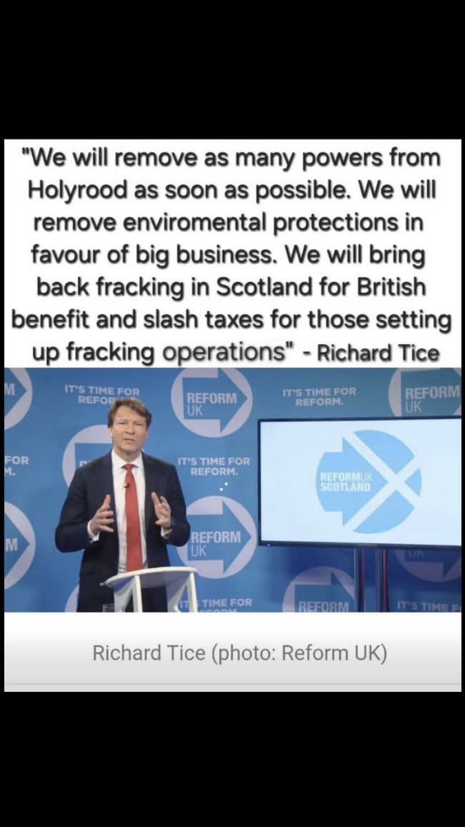 Cosmic Owl tweet media