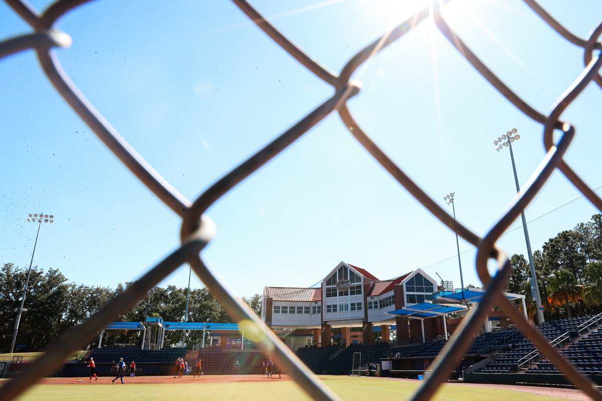 Gators Softball tweet media