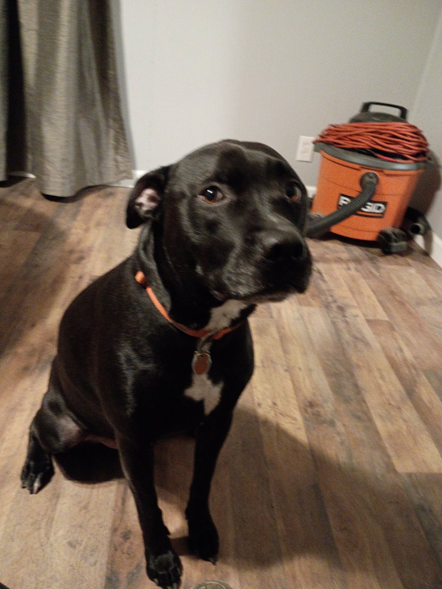 Moleman (OFFICIAL) tweet media