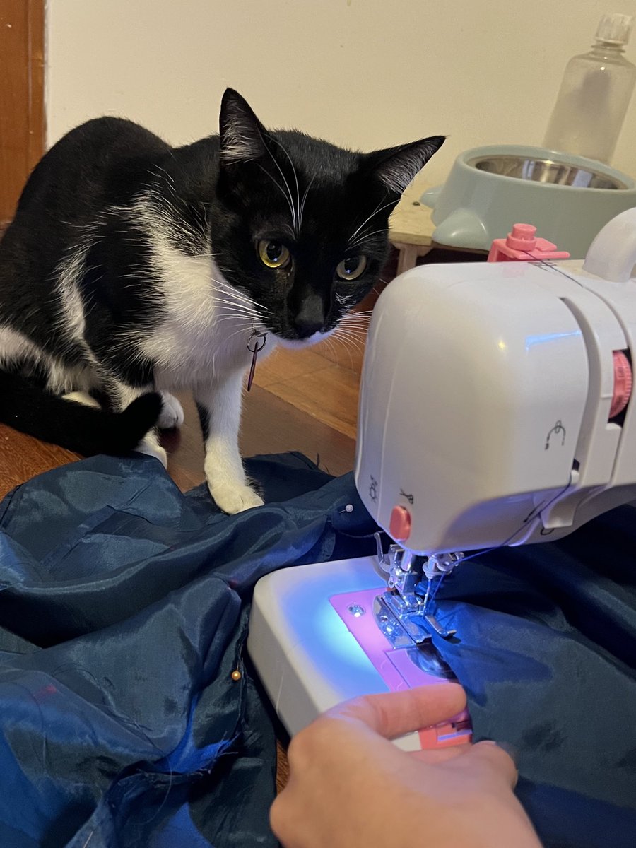 🪷 ᵇⁱ tweet media