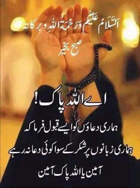 Dr Khadija Baksh tweet media