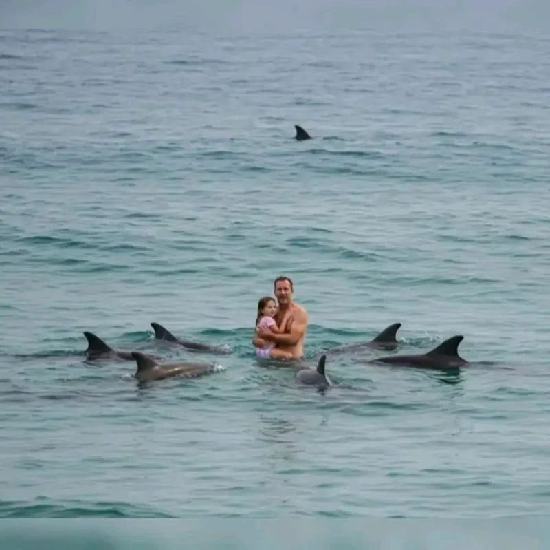 Turtle🐢 tweet media