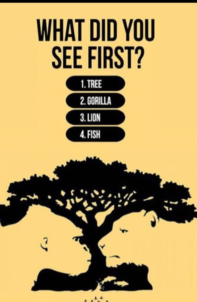 SAURABH MEENA tweet media