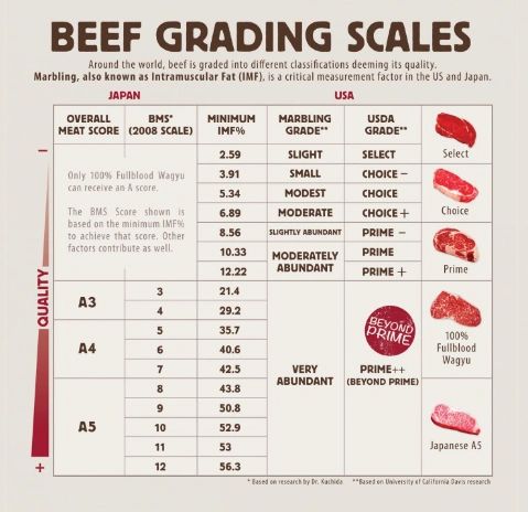 Emergent Perspective tweet media