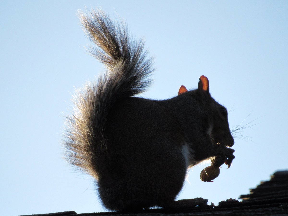 Scooter Davis tweet media