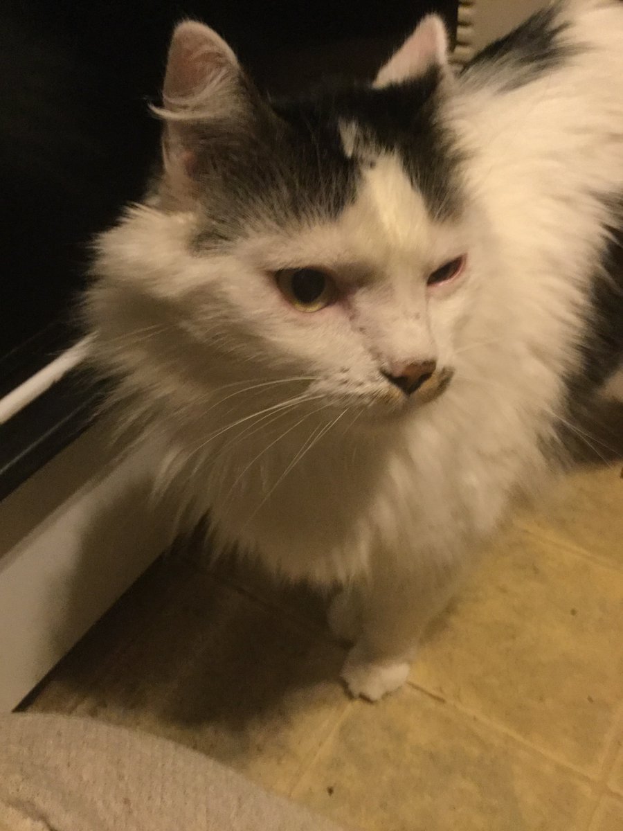 Clint Kritzer tweet media