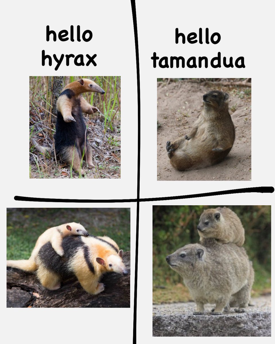 yume nikki minaj à trois tweet media