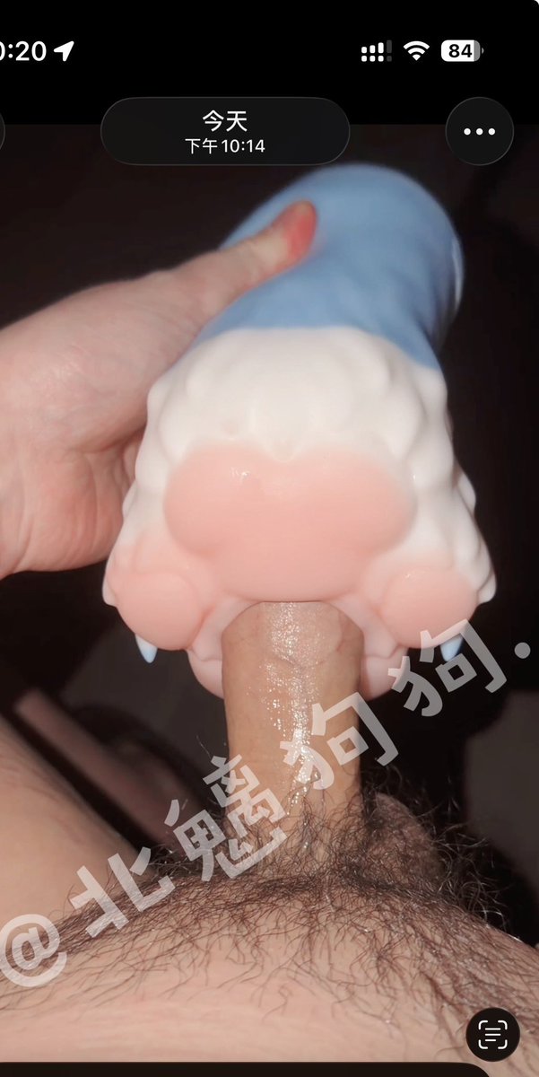 北魑狗狗 tweet media