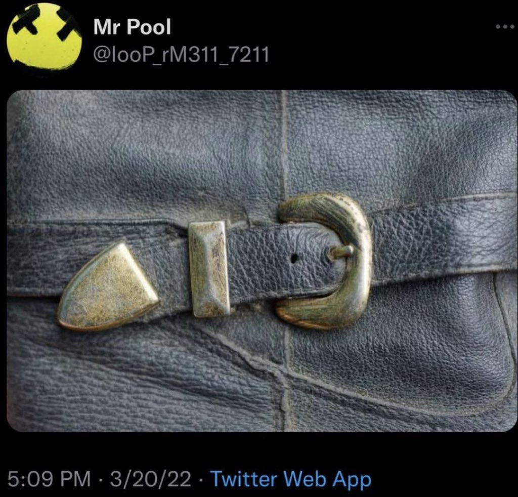 Stevie 🔮 $XRP tweet media