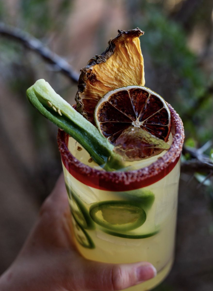 Ajo Al's tweet media